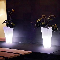 Pezzettina Illuminated Planter