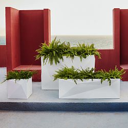 Faz Box Planters